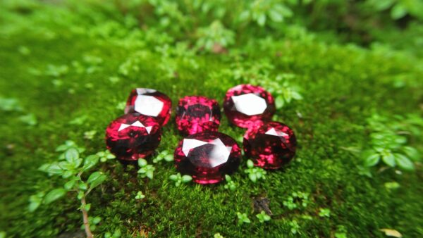 Ceylon Natural Rhodolite Garnets Dimension: 9.4mm x 8.2mm x 7.6mm/ 9.6mm x 8.8mm x 6.8mm 10mm x 8.7mm x 6.5mm/ 10.5mm x 9.4mm x 6.8mm 13mm x 9.8mm x 5.9mm/ 11.9mm / 10mm x 4.8mm Weights: 5.30cts/ 5.45cts/ 5.60cts/ 6.20cts/ 6.80cts/ 4.85cts Mineral: City of gem Ratnapurea Sri Lanka Shapes: Ovel and Cution Colour: Pinkish Red Pieces: 6 Treatment: NO Treatment/Unheated/Natural