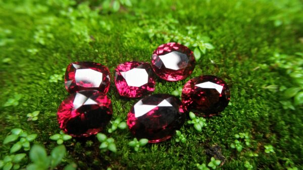 Ceylon Natural Rhodolite Garnets Dimension: 9.4mm x 8.2mm x 7.6mm/ 9.6mm x 8.8mm x 6.8mm 10mm x 8.7mm x 6.5mm/ 10.5mm x 9.4mm x 6.8mm 13mm x 9.8mm x 5.9mm/ 11.9mm / 10mm x 4.8mm Weights: 5.30cts/ 5.45cts/ 5.60cts/ 6.20cts/ 6.80cts/ 4.85cts Mineral: City of gem Ratnapurea Sri Lanka Shapes: Ovel and Cution Colour: Pinkish Red Pieces: 6 Treatment: NO Treatment/Unheated/Natural