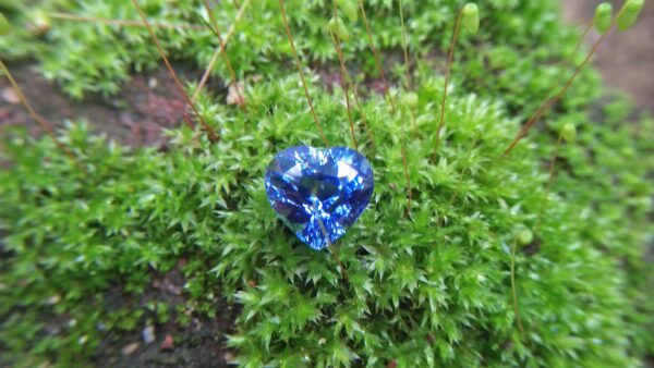 Sapphire is a precious gemstone, a variety of the mineral corundum, consisting of aluminium oxide Al2O3 with trace amounts of elements such as iron, titanium, chromium,copper, or magnesium. Category: Oxide mineral Formula: Aluminium oxide, Al2O3 Crystal system: Trigonal Crystal class: Hexagonal scalenohedral Mohs scale hardness: 9.0 Luster: Vitreous Specific gravity: 4.0 ~ 4.1 Sapphire is the birthstone for September Blue Sapphire is also very effective when it comes to channeling your healing powers from a higher source, which makes it a popular crystal for Reiki healers. It also has the ability to heal through the power of voice. When it comes to physical healing, Blue Sapphire can help in the overall healing of the body