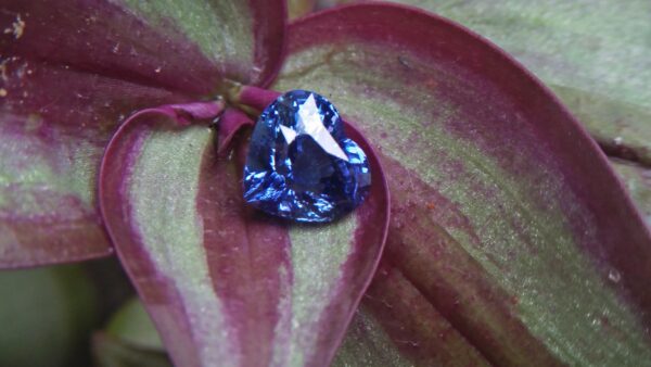 Sapphire is a precious gemstone, a variety of the mineral corundum, consisting of aluminium oxide Al2O3 with trace amounts of elements such as iron, titanium, chromium,copper, or magnesium. Category: Oxide mineral Formula: Aluminium oxide, Al2O3 Crystal system: Trigonal Crystal class: Hexagonal scalenohedral Mohs scale hardness: 9.0 Luster: Vitreous Specific gravity: 4.0 ~ 4.1 Sapphire is the birthstone for September Blue Sapphire is also very effective when it comes to channeling your healing powers from a higher source, which makes it a popular crystal for Reiki healers. It also has the ability to heal through the power of voice. When it comes to physical healing, Blue Sapphire can help in the overall healing of the body