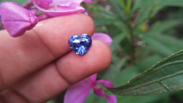 Sapphire is a precious gemstone, a variety of the mineral corundum, consisting of aluminium oxide Al2O3 with trace amounts of elements such as iron, titanium, chromium,copper, or magnesium. Category: Oxide mineral Formula: Aluminium oxide, Al2O3 Crystal system: Trigonal Crystal class: Hexagonal scalenohedral Mohs scale hardness: 9.0 Luster: Vitreous Specific gravity: 4.0 ~ 4.1 Sapphire is the birthstone for September Blue Sapphire is also very effective when it comes to channeling your healing powers from a higher source, which makes it a popular crystal for Reiki healers. It also has the ability to heal through the power of voice. When it comes to physical healing, Blue Sapphire can help in the overall healing of the body