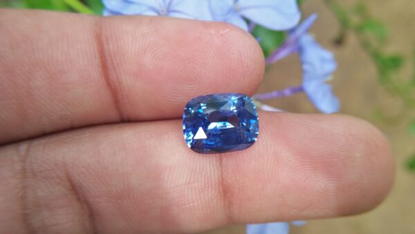 Blue Sapphire is also very effective when it comes to channeling your healing powers from a higher source, which makes it a popular crystal for Reiki healers. It also has the ability to heal through the power of voice. When it comes to physical healing, Blue Sapphire can help in the overall healing of the body. Sapphire is a precious gemstone, a variety of the mineral corundum, consisting of aluminium oxide Al2O3 with trace amounts of elements such as iron, titanium, chromium,copper, or magnesium. Category: Oxide mineral Formula: Aluminium oxide, Al2O3 Crystal system: Trigonal Crystal class: Hexagonal scalenohedral Mohs scale hardness: 9.0 Luster: Vitreous Specific gravity: 4.0 ~ 4.1 Sapphire is the birthstone for September