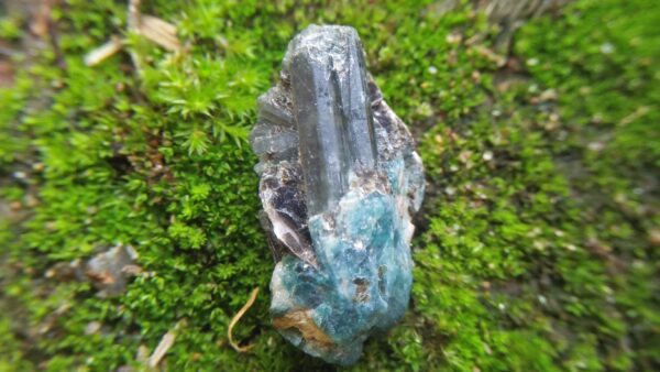 NATURAL GRANDIDEIRITE SPECIMEN WITH TOURMALINE CRYSTALS Weight : 46.85 Cts Height : 32 mm Width : 17 mm Mineral : Madagascar Treatment : None (Natural)