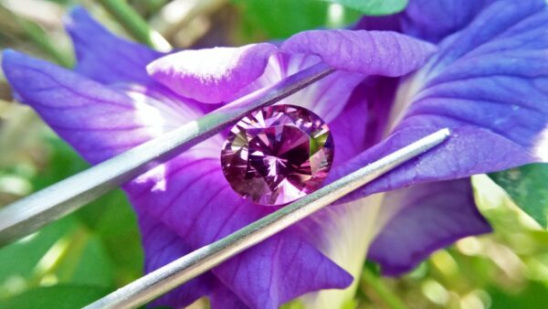 Natural Colour Change Garnet Weight: 3.19Cts Dimension: 9.7mm x 8.31mm x 5.8mm Colour: changing colors Brown, Brownish purple, Orangy Red Clarity : SI Birthstone : January Treatment : None/ Natural