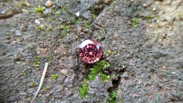 Natural Colour Change Zircon Very fine quality luster Weight: 4.45Cts Dimension: 8.7mm x 6.2mm Shape : Round Clarity : Clean Treatment : None/ Natural/ Unheated Colour: changing Colours Brown, Peach, pinkish purple, Red