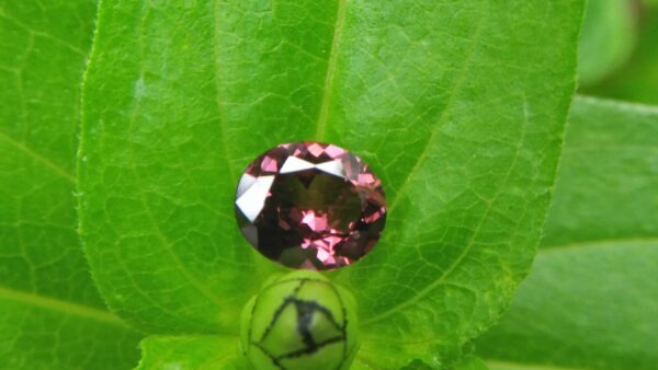 Natural Brownish Purple Spinel Shape : Ovel Clarity : SI Treatment : Natural/Unheated Dimension : 7.6mm x 6.4mm x 3.6mm Weight : 1.20 Cts Colour : Brownish Purple