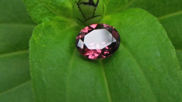 Natural Brownish Purple Spinel Shape : Ovel Clarity : SI Treatment : Natural/Unheated Dimension : 7.6mm x 6.4mm x 3.6mm Weight : 1.20 Cts Colour : Brownish Purple