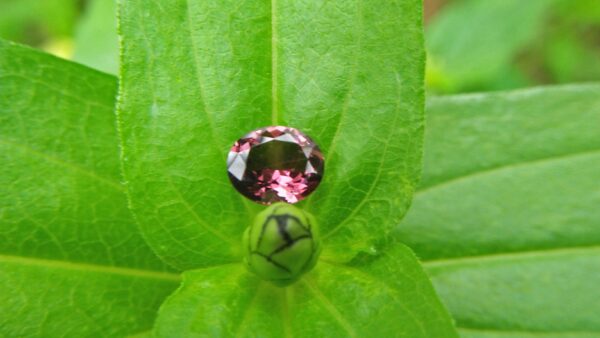 Natural Brownish Purple Spinel Shape : Ovel Clarity : SI Treatment : Natural/Unheated Dimension : 7.6mm x 6.4mm x 3.6mm Weight : 1.20 Cts Colour : Brownish Purple