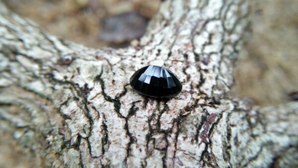 Natural Dark Blue Sapphire ( Kakanil ) කාකනිල් සෙනසුරු ග්‍රහයාට අයත් මැණික/ Stone of Saturn Shape : Ovel Clarity : Clean Treatment : Natural/Unheated Dimension : 7.3mmx 5.3mm x 3.9mm Weight : 1.55Cts Location : City of Gem Ratnapura Sri Lanka