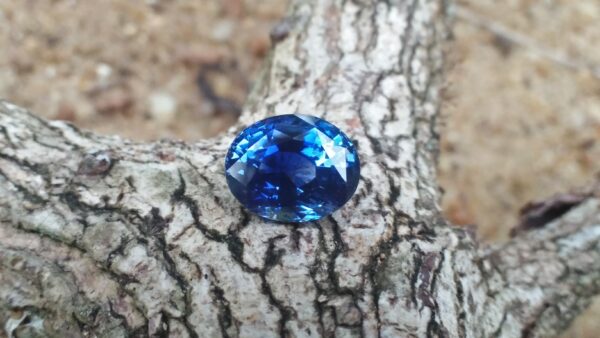 NATURAL BLUE SAPPHIRE Shape : Ovel Dimension : 9.15mm x 7.30mm x 5.51mm Weight : 3.06Cts Clarity : SI Colour : Cornflower Blue Transparency : Transparent Treatment : Unheated/Natural Sapphire is the birthstone for September