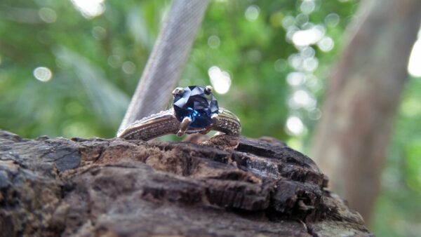Natural Blue Spinel Standard 925 Silver Ring Stone : Natuarl Blue Sapinel Shape : Round Brilliant Cut ( Diamond Cut) Clarity : Clean Treatment : Natural/Unheated Dimension : 6.1 mm x 3.1mm Mineral : City of gem Ratnapura Sri Lanka Metal : Standard 925 Silver Other : Also, We attached 24 AD's (American Diamond) to get more luster & More Beauty.