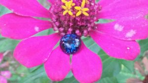 Cabalt Spinel is one of Rare Blue stone in Spinel Family NATURAL Cabalt Spinel Shape : Round Clarity : SI Treatment : Natural/Unheated Weight : 3.65 Cts