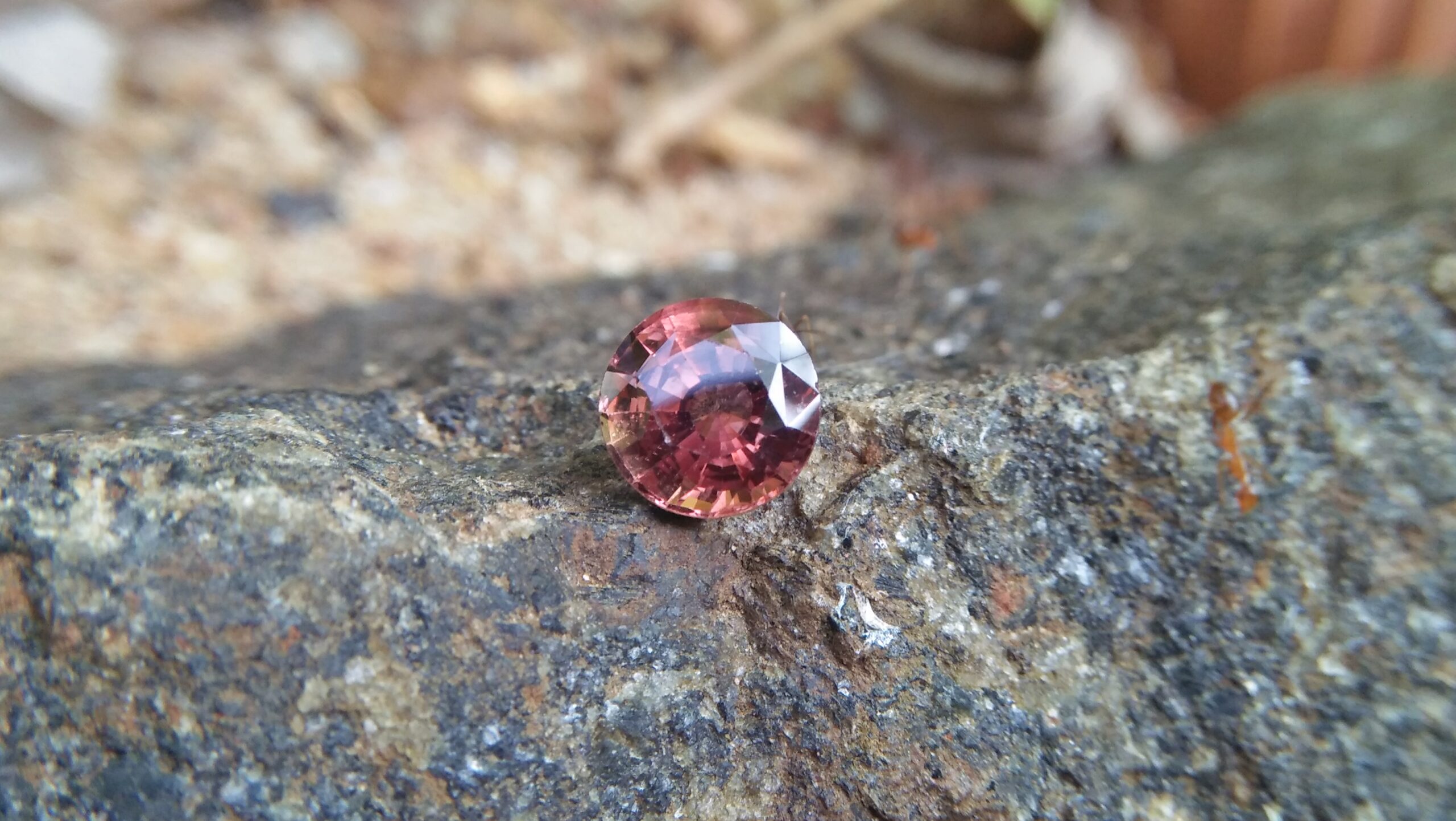 NATURAL Orangy Brown SAPPHIRE Shape : Round Dimension : 7 mm x 4.5 mm Weight : 1.70 Cts Clarity : SI Colour : Orangy Brown Transparency : Transparent Treatment : Unheated/Natural