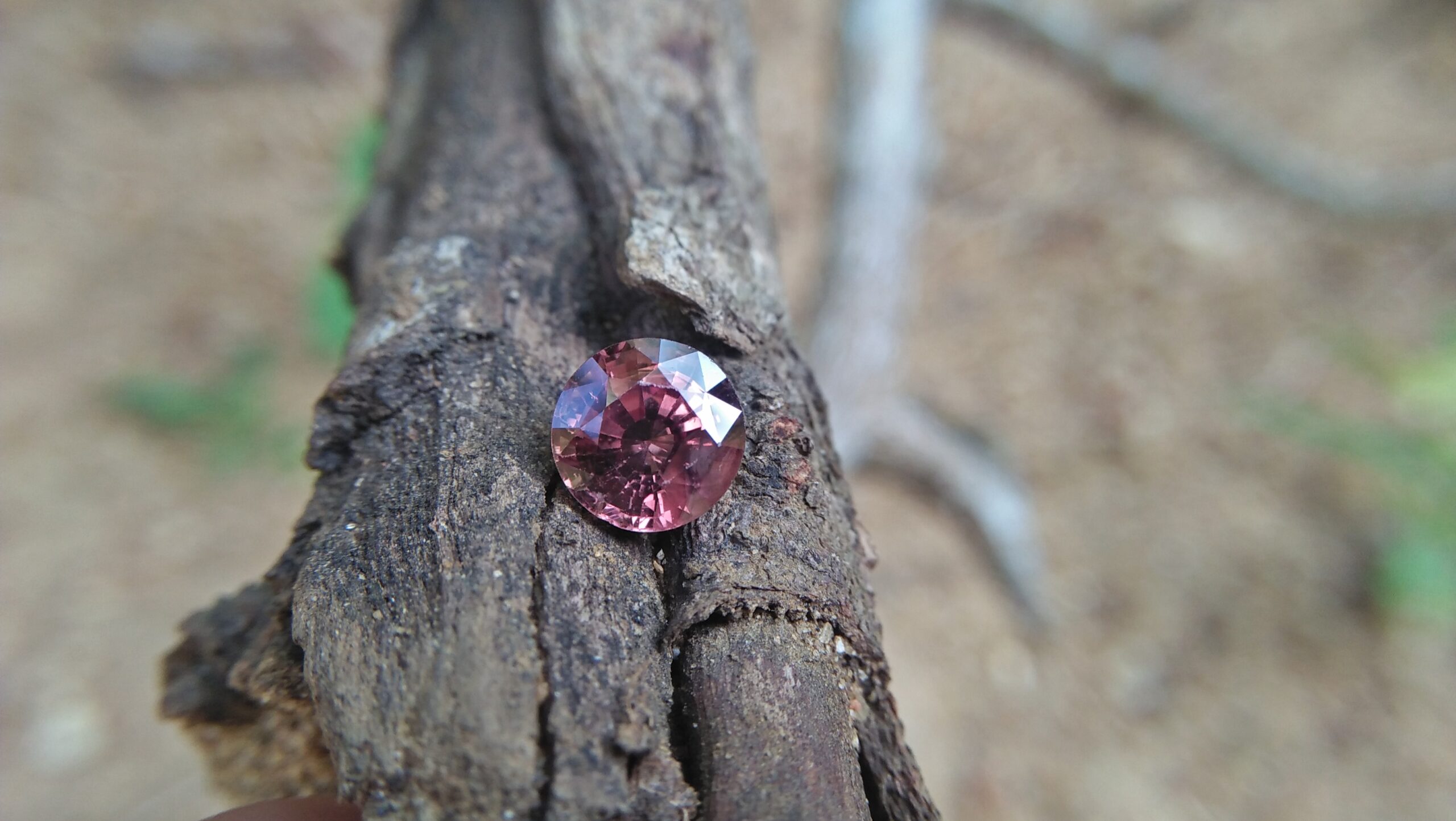 NATURAL Orangy Brown SAPPHIRE Shape : Round Dimension : 7 mm x 4.5 mm Weight : 1.70 Cts Clarity : SI Colour : Orangy Brown Transparency : Transparent Treatment : Unheated/Natural