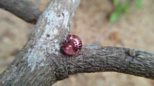 NATURAL Orangy Brown SAPPHIRE Shape : Round Dimension : 7 mm x 4.5 mm Weight : 1.70 Cts Clarity : SI Colour : Orangy Brown Transparency : Transparent Treatment : Unheated/Natural