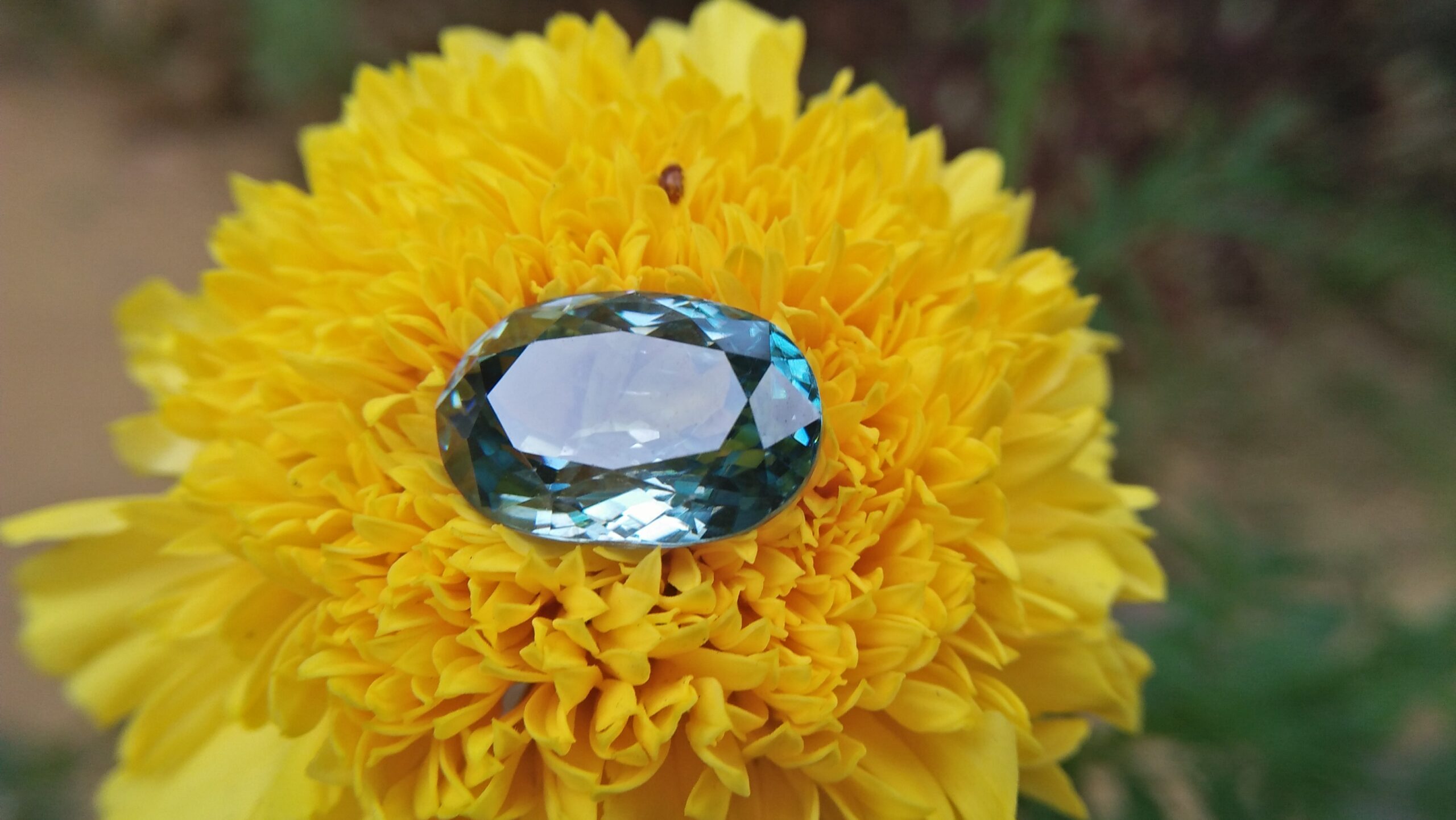 Natural Genuine Blue Zircon - Starlite WEIGHT : 13.03ct COLOUR : Vivid Greenish Blue CUT & SHAPE : Fancy Oval TRANSPARENCY : Transparent MEASUREMMENT : 15.2x 10.35 x 7.21mm SPECREUM : Rare earth spectrum TREATMENT : None "GLK" Certified ( GIA Alumni Association Member/ Member of Gemmological association Great Britain) GLK : UN - 01484 • Blue zircon is one of the US birthstones for December Natural Genuine Blue Zircon - Starlite WEIGHT : 13.03ct COLOUR : Vivid Greenish Blue CUT & SHAPE : Fancy Oval TRANSPARENCY : Transparent MEASUREMMENT : 15.2x 10.35 x 7.21mm SPECREUM : Rare earth spectrum TREATMENT : None "GLK" Certified ( GIA Alumni Association Member/ Member of Gemmological association Great Britain) GLK : UN - 01484 • Blue zircon is one of the US birthstones for December