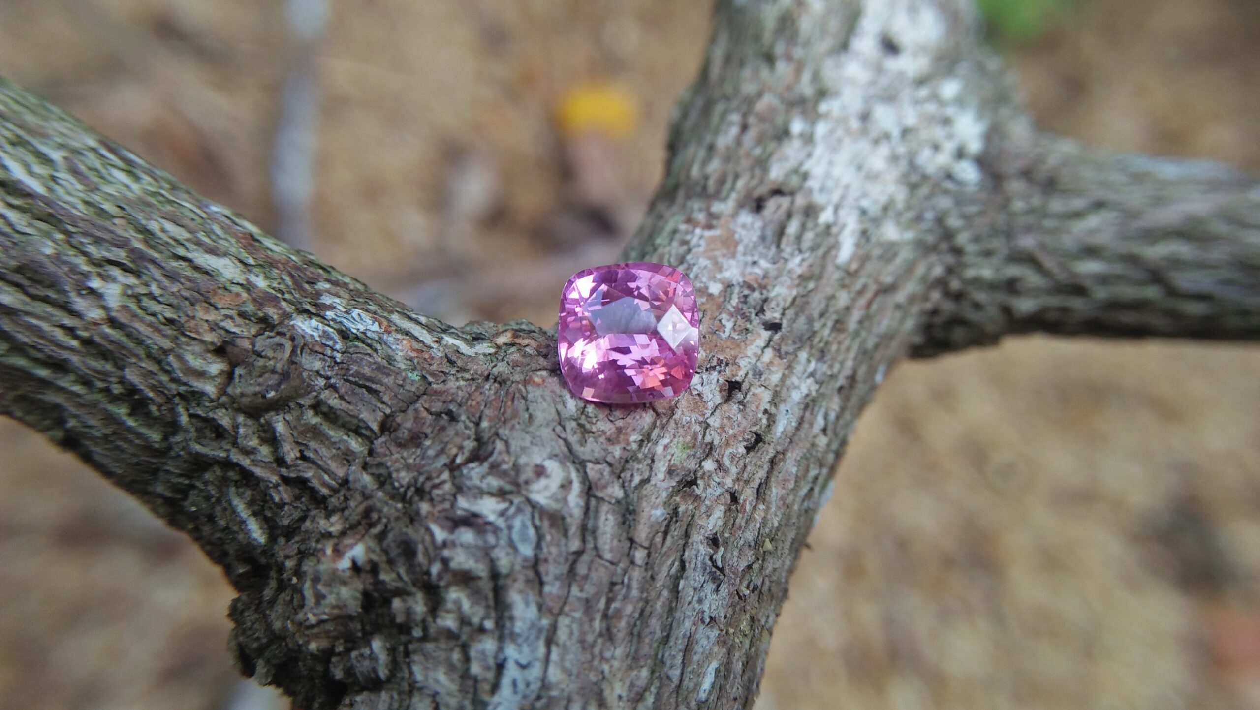 Sapphire is the birthstone for September NATURAL Pink SAPPHIRE Shape : Cution Cut : Mixed Cut Dimension : 5.9 mmx 5.96 mm x 4 mm Weight : 1.30 Cts Clarity : SI Colour : Pink Transparency : Transparent Treatment : Unheated Origin : Sri Lanka