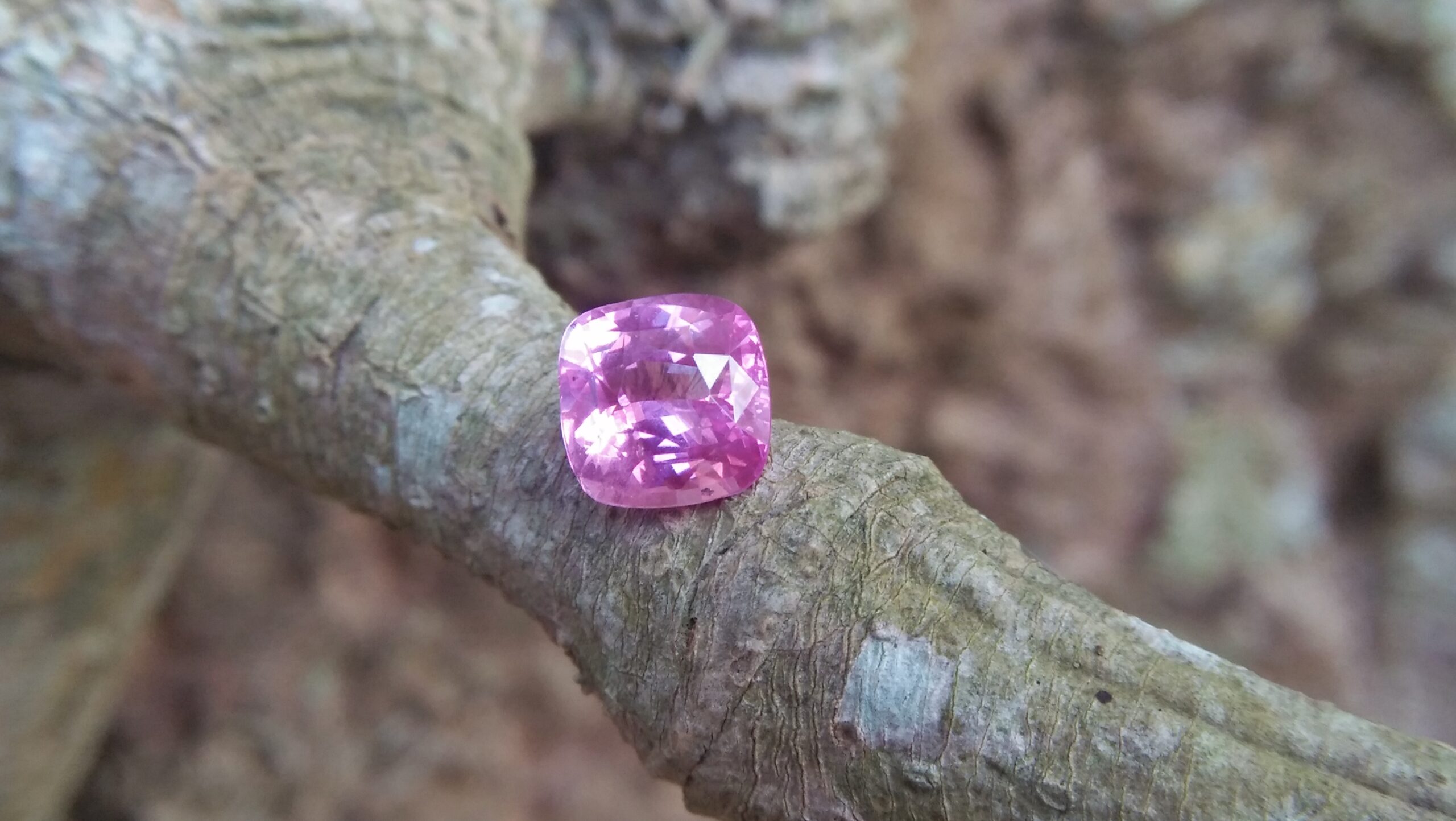 Sapphire is the birthstone for September NATURAL Pink SAPPHIRE Shape : Cution Cut : Mixed Cut Dimension : 5.9 mmx 5.96 mm x 4 mm Weight : 1.30 Cts Clarity : SI Colour : Pink Transparency : Transparent Treatment : Unheated Origin : Sri Lanka