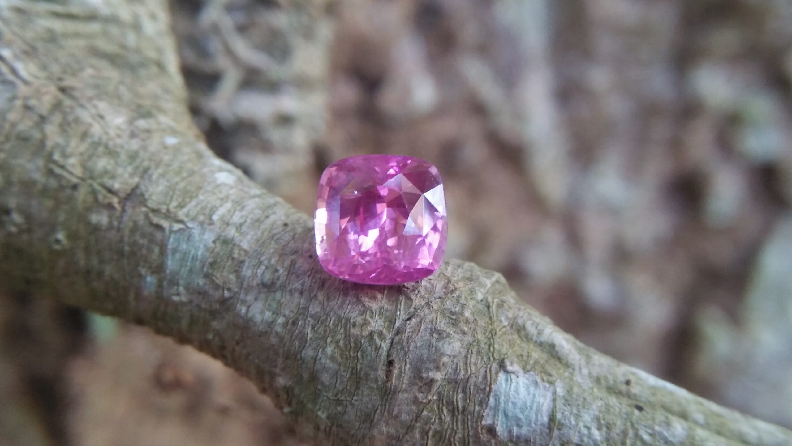 Sapphire is the birthstone for September NATURAL Pink SAPPHIRE Shape : Cution Cut : Mixed Cut Dimension : 5.9 mmx 5.96 mm x 4 mm Weight : 1.30 Cts Clarity : SI Colour : Pink Transparency : Transparent Treatment : Unheated Origin : Sri Lanka