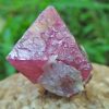 Natural Pink Spinel Crystal Specimen Weight : 113.30 Cts Fluorescence : Very good Fluorescence under UV light Treatment : None/ NaturalNatural Pink Spinel Crystal Specimen Weight : 113.30 Cts Fluorescence : Very good Fluorescence under UV light Treatment : None/ Natural