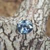 Sapphire is the birthstone for September NATURAL BLUE SAPPHIRE Shape : Ovel Cut : Mixed Cut Dimension : 6.9mm x 5.7mm x 3.7mm Weight : 1.20Cts Clarity : SI Colour : Greenish Blue Transparency : Transparent