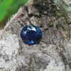 Sapphire is the birthstone for September NATURAL BLUE SAPPHIRE Shape : Ovel Cut : Mixed Cut Dimension : 6.7mm x 5.9mm x 4.3mm Weight : 1.35Cts Clarity : VVS Colour : Royel Blue Transparency : Transparent
