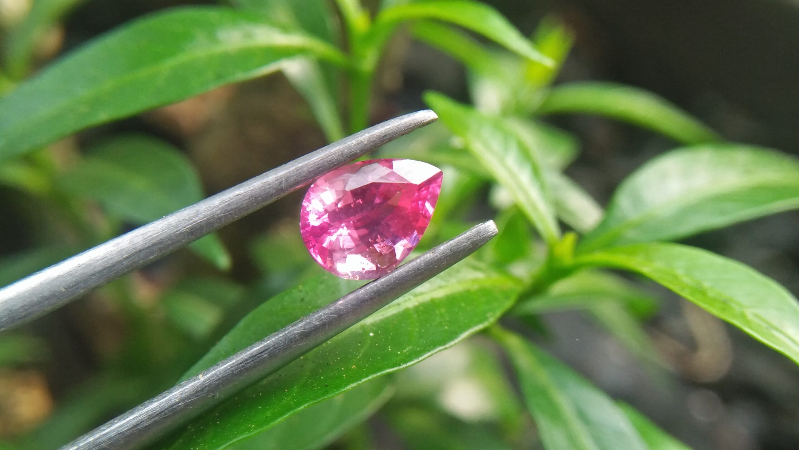 CEYLON NATURAL PINK SAPPHIRE Weight : 1.03Cts Dimension : 6.9 mm x 5.0 mm x 3.8 mm Color : Pink Treatment: Unheated Transparent: Good Transparency Shape : Pear Clarity : Vs 粉紅的藍寶石 重量 : 1.03Cts 尺寸 : 6.9 mm x 5.0 mm x 3.8 mm 颜色 : 粉 透明 : 好透明 形狀 : 梨形 清晰度 : VS 治療 : 沒有加熱 来源:斯里兰卡 達魯集團 寶石直接來自矿塲 COLORED STONE LABORATORY CERTIFIED ( GIA Alumni Association Member) CSL Memo No : 492F1E3C8C3B