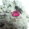 Ceylon NATURAL Pink Sapphire Colour : Hot Pink Shape : Oval Weight : 0.92 Dimension : 6.1 mm x 4.8mm x 3.4 mm Treatment : Heated Clarity : SI • CSL - Colored Stone Laboratory Certified ( GIA Alumina Association Member ) • CSL Memo No : 35E7D3E87864 Sapphire is a precious gemstone, a variety of the mineral corundum, consisting of aluminum oxide with trace amounts of elements such as iron, titanium, chromium, copper, or magnesium. Sapphire deposits are found in Eastern Australia, Thailand, Sri Lanka, China, Vietnam, Madagascar, Greenland, East Africa, and in North America in mostly in Montana. Madagascar, Sri Lanka, and Kashmir produce large quantities of fine quality Sapphires for the world market. Sapphires are mined from alluvial deposits or from primary underground workings. Blue Sapphire and Ruby are the most popular Gemstone in Corundum Family. also, Orangy Pink Sapphire is called Padparadscha. The name Drive's from the Sinhalese word "padmaraga" " පද්මරාග", meaning lotus blossom, as the stone is of a similar color to the lotus blossom. Bi-Color Sapphire from DanuGroup Collection Also, Sapphire can be found as parti-color, bi-color or fancy color. Australia is a main parti-color Sapphire producer. White Sapphire also, White sapphire is a very popular stone to wear instead of Diamond as a 3rd hardness gemstone after diamond ( moissanite hardness is 9.5). Various colors of star sapphires A star sapphire is a type of sapphire that exhibits a star-like phenomenon known as asterism. Also, A rare variety of natural sapphire, known as color-change sapphire, exhibits different colors in a different light. Sapphires can be treated by several methods to enhance and improve their clarity and color. A common method is done by heating the sapphires in furnaces to temperatures between 500 and 1,850 °C for several hours, or by heating in a nitrogen-deficient atmosphere oven for 1 week or more. Geuda is a form of the mineral corundum. Geuda is found primarily in Sri Lanka. It's a semitransparent and milky appearance due to rutile inclusions. Geuda is used to improve its color by heat treatment. Some geuda varieties turn to a blue color after heat treatments and some turn to red after oxidizing. Also, Kowangu pushparaga turns to yellow sapphire after oxidizing. Sapphire Crystal system is a Trigonal crystal system with a hexagonal scalenohedral crystal class. Sapphire hardness is 9 according to the Mohs hardness scale with 4.0~4.1 specific gravity. Refractive index ω          =1.768–1.772 nε =1.760–1.763 Solubility = Insoluble Melting point = 2,030–2,050 °C Birefringence  = 0.008 Pleochroism = Strong Luster = Vitreous Sapphire is the birthstone for September and the gem of the 45th anniversary. Healing Properties of Sapphire Sapphire releases mental tension, depression, unwanted thoughts, and spiritual confusion.  Sapphire is known as a "stone of Wisdom". It is exceptional for calming and focusing the mind, allowing the release of mental tension and unwanted thoughts. Sapphire is also the best stone for awakening chakras. Dark Blue or Indigo Sapphire stimulates the Third Eye chakra. Blue Sapphire stimulates the Throat Chakra. Green sapphire stimulates Heart Chakra. Black Sapphire stimulates Base Chakra. White sapphire stimulates Crown Chakra. Yellow sapphire stimulates Solar Plexus Chakra. Pink Sapphire Healings It is believed that pink sapphires used for therapeutic purposes as crystals might nourish the emotional well-being of the person wearing the jewelry crafted from the gems. The theory behind these therapeutic beliefs centers on clearing emotional blockages from the past to release hurtful experiences. • Nourishing the Emotional Body with the PinkColor Ray • Energetic Columns of Support • Longevity and Extending the Lifespan of Your Cells • Astral Vision and Sensitivity to Energy
