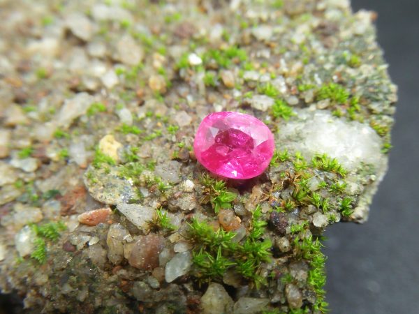 Ceylon Natural Pink Sapphire Colour : Hot Pink Shape : Cushion Weight : 1.09 Cts Dimension : 5.8mm x 4.8mm x 3.9mm Treatment : Unheated Clarity : VS • CSL - Colored Stone Laboratory Certified ( GIA Alumina Association Member ) • CSL Memo No : 7B2132420B0A 粉紅的藍寶石 重量 : 1.09 卡拉 尺寸 : 5.8mm x 4.8mm x 3.9mm 颜色 : 粉红色 透明 : 好透明 形状 : 靠垫形状 治療 :沒有加熱 清晰度 : SI