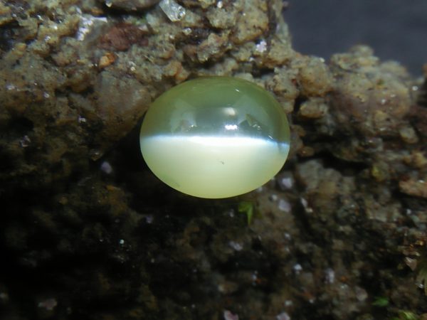 Natural Chrysoberyl Cats Eye Colour : Greenish Yellow Shape : Oval Weight : 1.04 Cts Dimension : 6.1 x 5.1 x 3.9 mm Treatment : Unheated Clarity : Clean • CSL - Colored Stone Laboratory Certified ( GIA Alumina Association Member ) • CSL Memo No : 1F01195A4F3F