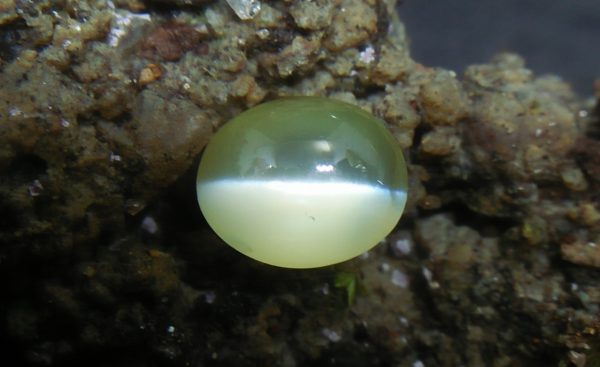 Natural Chrysoberyl Cats Eye Colour : Greenish Yellow Shape : Oval Weight : 1.04 Cts Dimension : 6.1 x 5.1 x 3.9 mm Treatment : Unheated Clarity : Clean • CSL - Colored Stone Laboratory Certified ( GIA Alumina Association Member ) • CSL Memo No : 1F01195A4F3F