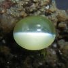 Natural Chrysoberyl Cats Eye Colour : Greenish Yellow Shape : Oval Weight : 1.04 Cts Dimension : 6.1 x 5.1 x 3.9 mm Treatment : Unheated Clarity : Clean • CSL - Colored Stone Laboratory Certified ( GIA Alumina Association Member ) • CSL Memo No : 1F01195A4F3F
