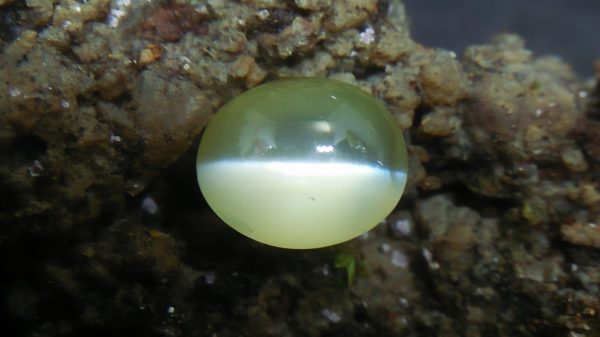 Natural Chrysoberyl Cats Eye Colour : Greenish Yellow Shape : Oval Weight : 1.04 Cts Dimension : 6.1 x 5.1 x 3.9 mm Treatment : Unheated Clarity : Clean • CSL - Colored Stone Laboratory Certified ( GIA Alumina Association Member ) • CSL Memo No : 1F01195A4F3F