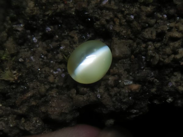 Natural Chrysoberyl Cats Eye Colour : Greenish Yellow Shape : Oval Weight : 1.04 Cts Dimension : 6.1 x 5.1 x 3.9 mm Treatment : Unheated Clarity : Clean • CSL - Colored Stone Laboratory Certified ( GIA Alumni Association Member ) • CSL Memo No : 1F01195A4F3F