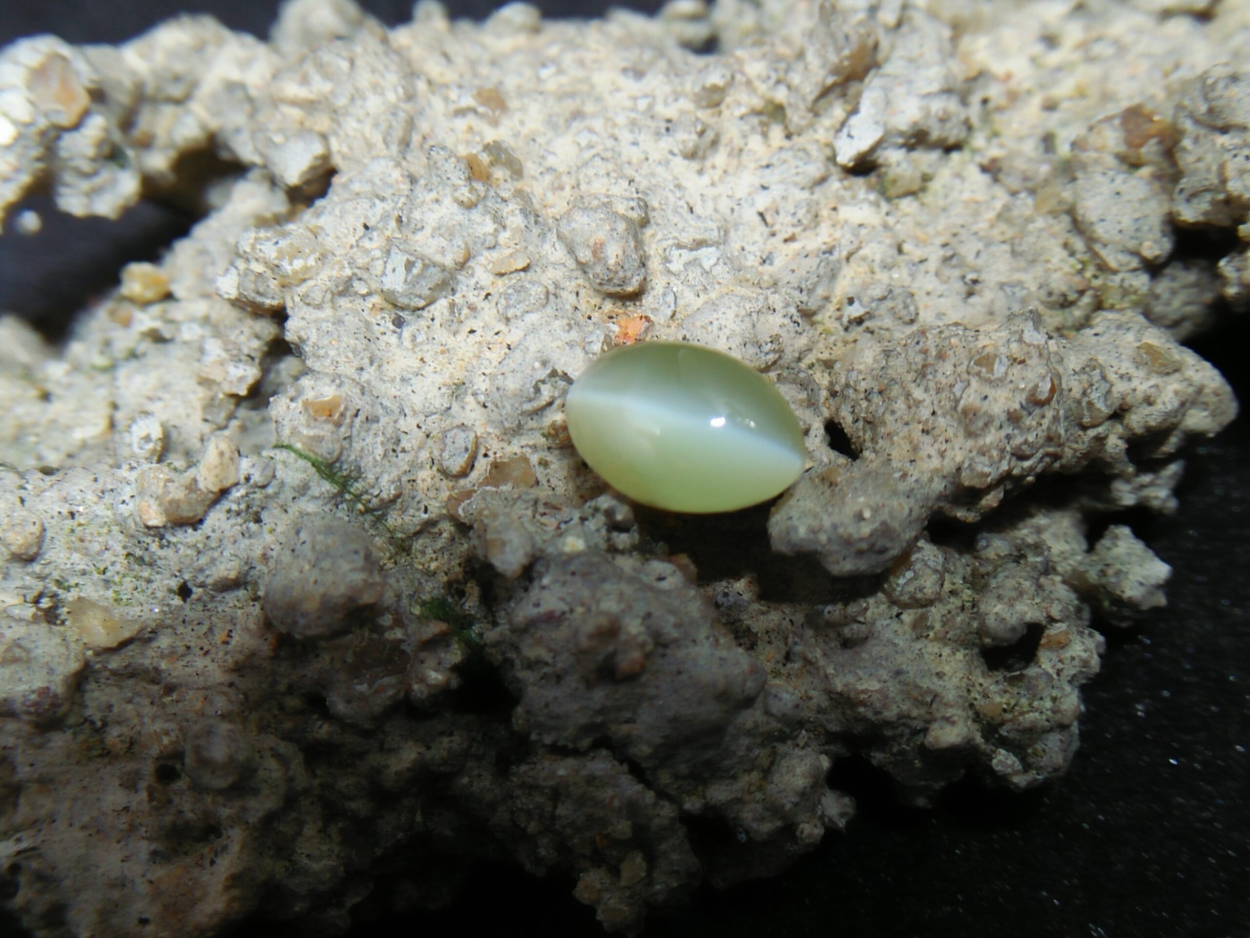 Chrysoberyl Cats Eye Colour : Greenish Yellow Shape : Oval Cut : Cabochon Weight : 1.04 Cts Dimension : 6.5 x 4.1 x 4.1 mm Treatment : Unheated Clarity : Clean • CSL - Colored Stone Laboratory Certified ( GIA Alumina Association Member ) • CSL Memo No : 96FCB5F4103D The Gemstone Chrysoberyl is an aluminate of beryllium with the chemical formula BeAl₂O₄. The name chrysoberyl is derived from the Greek words "chrysos" and "beryllos". Its meaning is "a gold-white spar". It is known as a hard and durable gem after Sapphire. Chrysoberyl is an orthorhombic crystal mineral with 3.5 – 3.84 specific gravity and 8.5 hardness according to the more hardness scale. It is a Biaxial (+) mineral with refractive indexes nα=1.745 nβ=1.748 nγ=1.754. Chrysoberyl family Gemstones from old collection Chrysoberyl can be found colors such as green, yellow, brownish to greenish-black, colorless, pale shades of yellow, greenish Yellow, Yellowish Green, Honey Brown, Reddish Brown, Orangy yellow, Greenish Brown, Blue. Also, Golden Yellow Chrysoberyl is called "Ceylonese Chrysolite" as a trading name. Alexandrite Alexandrite cats eye The Chrysoberyl Alexandrite is a color change variety upon the nature of ambient lighting. It changes the color green to brownish red or green to purplish-red in the incandescent light from a lamp or candle flame. However, Alexandrite's good color change stones are extremely rare. also, Chrysoberyl alexandrite can be found with a chatoyancy future. It is rare and expensive. Chrysoberyl crystal from Danu Group Old Collection An interesting feature of its crystals are the cyclic twins called trillings. Alexandrite Crystal Under UV Also, Chrysoberyl can be found with the chatoyancy feature. Translucent yellowish chatoyant chrysoberyl is called as cymophane. Also, Chrysoberyl cat's eye is found in colors such as yellowish-green, green, honey brown, grey. The chrysoberyl gemstone or mineral can be found in Sri Lanka, Afghanistan, India, Madagascar, Tanzania, Ethiopia, Australia, Brazil, Canada, France, Germany, Italy, Japan, Kenya, Kazakhstan, Namibia, Myanmar, Mozambique, Norway, Russia, Spain, USA, Zambia. Healing Properties of Chrysoberyls Chrysoberyl is known as an effective and protective stone since ancient times. It transforms negative thoughts into positive energy. Chrysoberyl gemstone or mineral is associated with wealth and creativity and promotes tolerance and harmony. It stimulates the solar plexus and crown chakras. Chrysoberyl helps to open the crown chakra and increases both spiritual and personal power. Green chrysoberyl stimulates the healing of the physical heart. Chrysoberyl stimulates the cleansing and balancing of the liver, kidneys, gall bladder and balances adrenaline and cholesterol and fortifies the chest and liver. Chrysoberyl Cat's eye increases the vibration of Ketu in the wearer according to Vedic Astrology. It is known to reduce the malefic effects of 'Ketu' and increase its beneficial qualities. Chrysoberyl transforms negative thoughts into positive energy. It supports self-healing. Chrysoberyl balances adrenaline and cholesterol and fortifies the chest and liver.