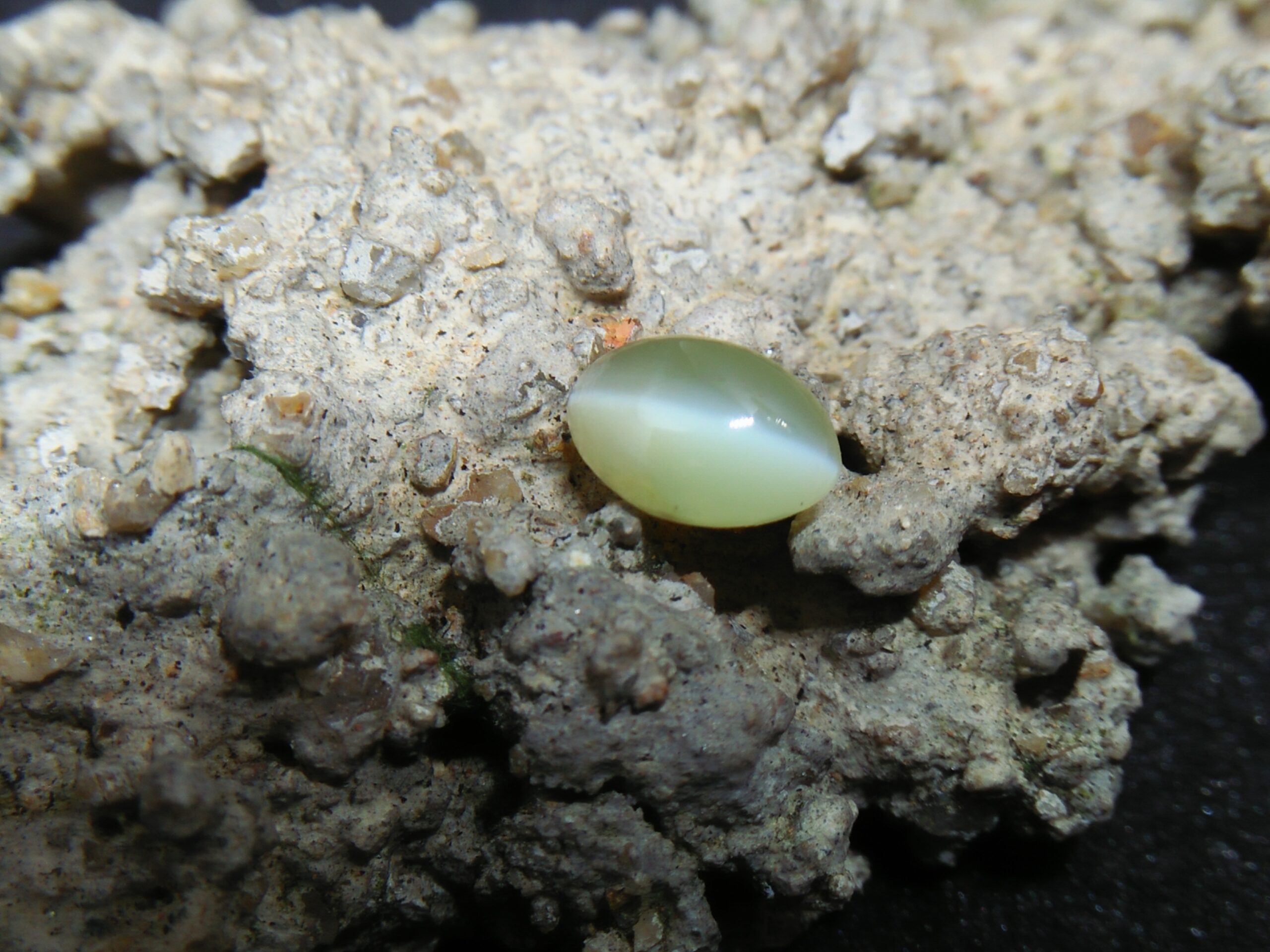 Chrysoberyl Cats Eye Colour : Greenish Yellow Shape : Oval Cut : Cabochon Weight : 1.04 Cts Dimension : 6.5 x 4.1 x 4.1 mm Treatment : Unheated Clarity : Clean • CSL - Colored Stone Laboratory Certified ( GIA Alumina Association Member ) • CSL Memo No : 96FCB5F4103D The Gemstone Chrysoberyl is an aluminate of beryllium with the chemical formula BeAl₂O₄. The name chrysoberyl is derived from the Greek words "chrysos" and "beryllos". Its meaning is "a gold-white spar". It is known as a hard and durable gem after Sapphire. Chrysoberyl is an orthorhombic crystal mineral with 3.5 – 3.84 specific gravity and 8.5 hardness according to the more hardness scale. It is a Biaxial (+) mineral with refractive indexes nα=1.745 nβ=1.748 nγ=1.754. Chrysoberyl family Gemstones from old collection Chrysoberyl can be found colors such as green, yellow, brownish to greenish-black, colorless, pale shades of yellow, greenish Yellow, Yellowish Green, Honey Brown, Reddish Brown, Orangy yellow, Greenish Brown, Blue. Also, Golden Yellow Chrysoberyl is called "Ceylonese Chrysolite" as a trading name. Alexandrite Alexandrite cats eye The Chrysoberyl Alexandrite is a color change variety upon the nature of ambient lighting. It changes the color green to brownish red or green to purplish-red in the incandescent light from a lamp or candle flame. However, Alexandrite's good color change stones are extremely rare. also, Chrysoberyl alexandrite can be found with a chatoyancy future. It is rare and expensive. Chrysoberyl crystal from Danu Group Old Collection An interesting feature of its crystals are the cyclic twins called trillings. Alexandrite Crystal Under UV Also, Chrysoberyl can be found with the chatoyancy feature. Translucent yellowish chatoyant chrysoberyl is called as cymophane. Also, Chrysoberyl cat's eye is found in colors such as yellowish-green, green, honey brown, grey. The chrysoberyl gemstone or mineral can be found in Sri Lanka, Afghanistan, India, Madagascar, Tanzania, Ethiopia, Australia, Brazil, Canada, France, Germany, Italy, Japan, Kenya, Kazakhstan, Namibia, Myanmar, Mozambique, Norway, Russia, Spain, USA, Zambia. Healing Properties of Chrysoberyls Chrysoberyl is known as an effective and protective stone since ancient times. It transforms negative thoughts into positive energy. Chrysoberyl gemstone or mineral is associated with wealth and creativity and promotes tolerance and harmony. It stimulates the solar plexus and crown chakras. Chrysoberyl helps to open the crown chakra and increases both spiritual and personal power. Green chrysoberyl stimulates the healing of the physical heart. Chrysoberyl stimulates the cleansing and balancing of the liver, kidneys, gall bladder and balances adrenaline and cholesterol and fortifies the chest and liver. Chrysoberyl Cat's eye increases the vibration of Ketu in the wearer according to Vedic Astrology. It is known to reduce the malefic effects of 'Ketu' and increase its beneficial qualities. Chrysoberyl transforms negative thoughts into positive energy. It supports self-healing. Chrysoberyl balances adrenaline and cholesterol and fortifies the chest and liver.