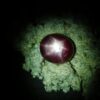 Ceylon Natural Purple Star Sapphire Colour : Purple Shape : Oval Weight : 6.51 Cts Dimension : 10.9 x 9.4 x 5.6 mm Treatment : Unheated Cut : Cabochon 星蓝宝石 重量 : 6.51 卡拉 尺寸 : 10.9 x 9.4 x 5.6 mm 颜色 : 紫色 透明 : 好透明 形状 : 椭圆形 治療：没有加热 清晰度 : VS • CSL - Colored Stone Laboratory Certified ( GIA Alumina Association Member ) • CSL Memo No : D1B3B03B3983