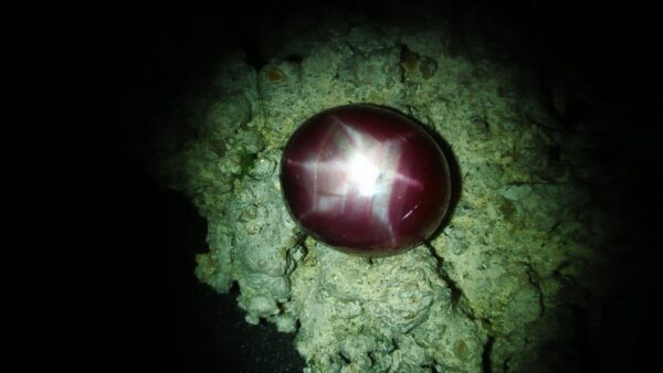 Ceylon Natural Purple Star Sapphire Colour : Purple Shape : Oval Weight : 6.51 Cts Dimension : 10.9 x 9.4 x 5.6 mm Treatment : Unheated Cut : Cabochon 星蓝宝石 重量 : 6.51 卡拉 尺寸 : 10.9 x 9.4 x 5.6 mm 颜色 : 紫色 透明 : 好透明 形状 : 椭圆形 治療：没有加热 清晰度 : VS • CSL - Colored Stone Laboratory Certified ( GIA Alumni Association Member ) • CSL Memo No : D1B3B03B3983