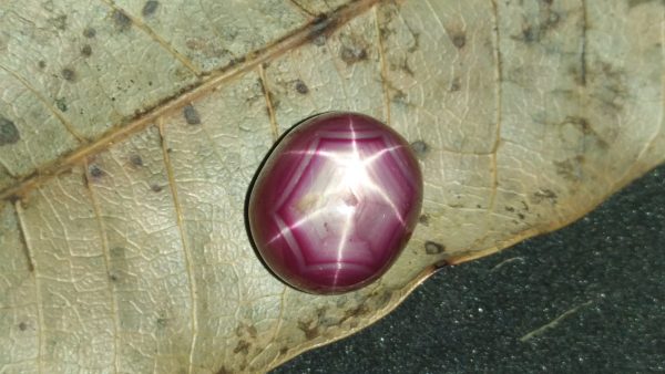 Ceylon Natural Star Ruby A star sapphire is a type of sapphire that exhibits a star-like phenomenon known as asterism. Star sapphires contain intersecting needle-like inclusions following the underlyingcrystal structure that causes the appearance of a six-rayed "star"-shaped pattern when viewed with a single overhead light source. Healing Properties Sapphire helps the user stay on the Spiritual Path, boosting psychic and spiritual powers, and is a great stone for Earth and Chakra healing. also, all corundums share some energies in common, the various colours of Sapphire have individual vibrational signatures and different spiritual properties. Sapphire was used by the Etruscans over 2,500 years ago and was also prized in ancient Rome, Greece and Egypt. Revered as a stone of royalty, sapphire was believed to keep kings safe from harm or envy.