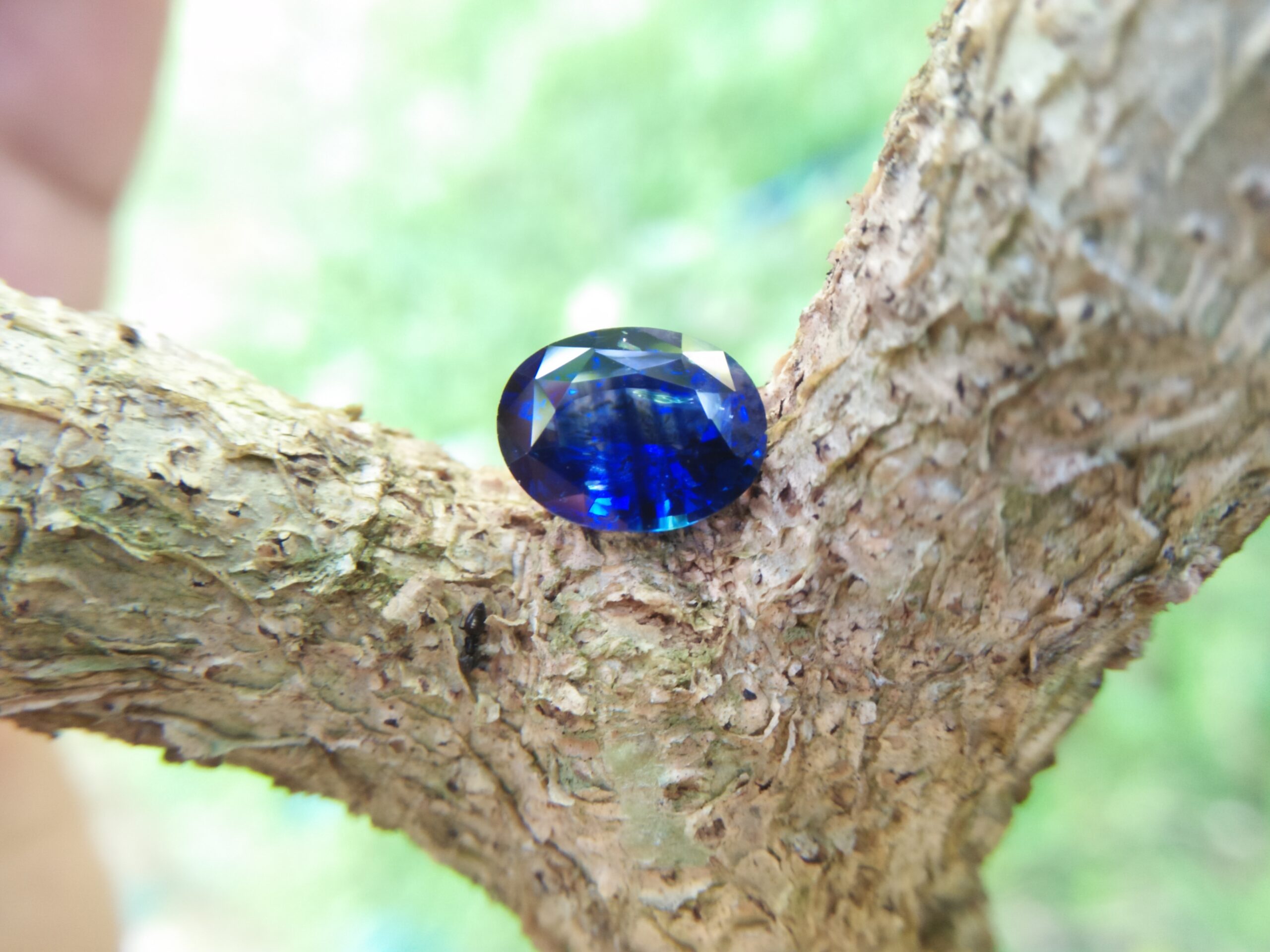 NATURAL BLUE SAPPHIRE (Royel Blue) Colour : Vivid Blue "Royal Blue" Shape : Oval Weight : 3.32 CTS Dimension : 10.1 x 7.8 x 4.9 mm Treatment : Heated Clarity : SI • CSL - Colored Stone Laboratory Certified ( GIA Alumina Association Member ) • CSL Memo No : 9BD96BCA857B 蓝宝石( 皇家藍 ) 重量 : 3.32卡拉 尺寸 : 10.1 x 7.8 x 4.9 mm 颜色 : 蓝色 ( 皇家藍 ) 透明 : 好透明 形状 : 梨形 治療:加熱 清晰度 : SI