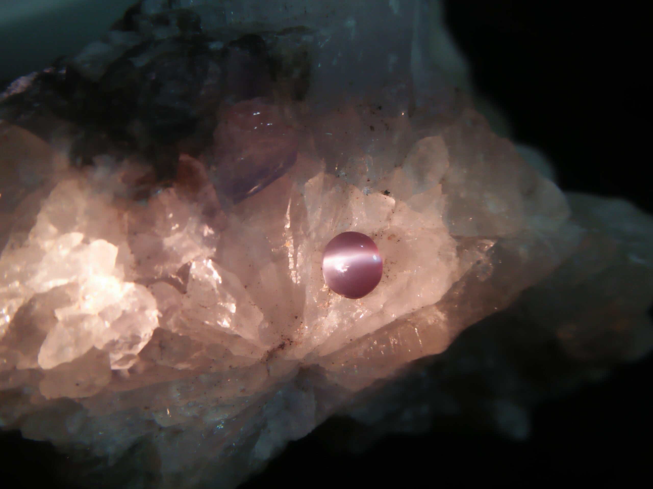 Natural Alexandrite Cats Eye Colour : c.c from Deep Green to deep red Shape : Round Cut : Cabochon Weight : 0.44 Cts Dimension : 4.8 x 4.3 x 2.2 mm Treatment : Unheated