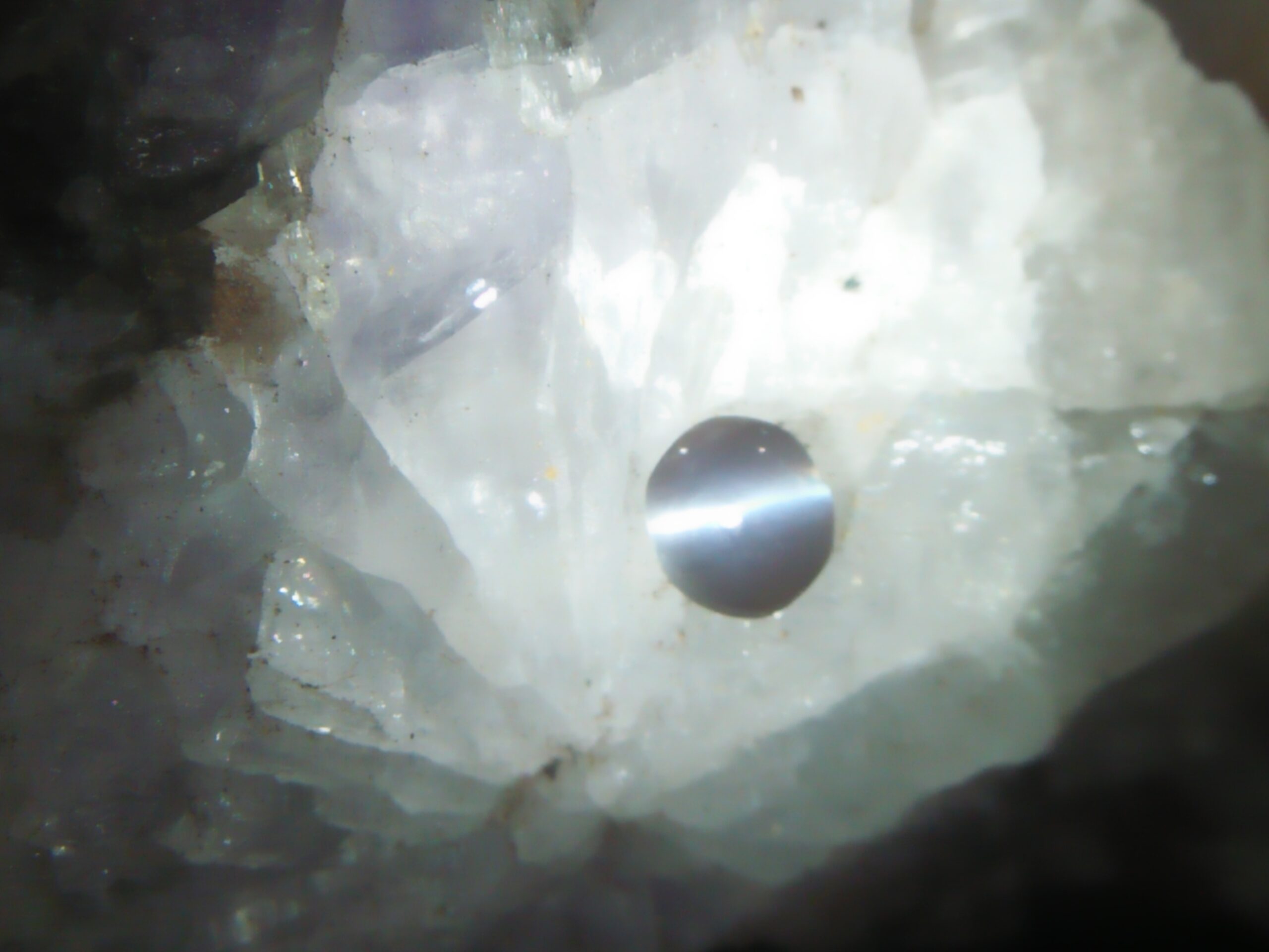 vNatural Alexandrite Cats Eye Colour : c.c from Deep Green to deep red Shape : Round Cut : Cabochon Weight : 0.44 Cts Dimension : 4.8 x 4.3 x 2.2 mm Treatment : Unheated