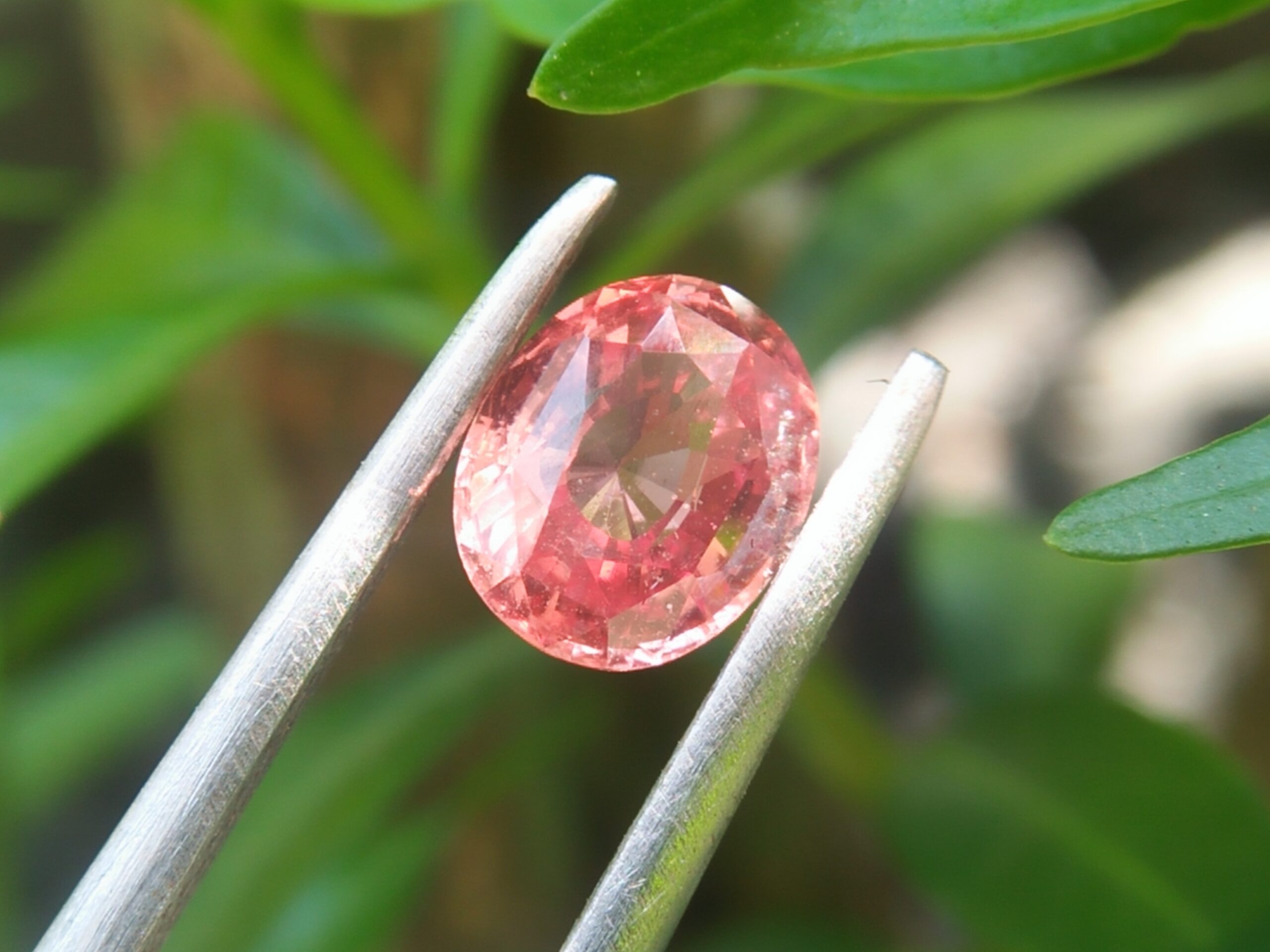 Sunset Colour Natural Padparadscha Sapphire Colour : Brownish Pink with Tiny Red Hue ( one of sunset colour type) Shape : oval Cut : Oval Mix Cut Weight : 1.03 Cts Dimension : 6.53 X 5.38 X 3.34 mm Treatment : Unheated Clarity : SI • CGL - Ceylon Gem Lab Report No ： 201809115241 帕帕拉恰 重量 : 1.03 卡拉 尺寸 : 6.53 X 5.38 X 3.34 mm 颜色 : 褐色粉红色 透明 : 好透明 形状 : 椭圆形 治療 : 没有加熱 清晰度 : SI