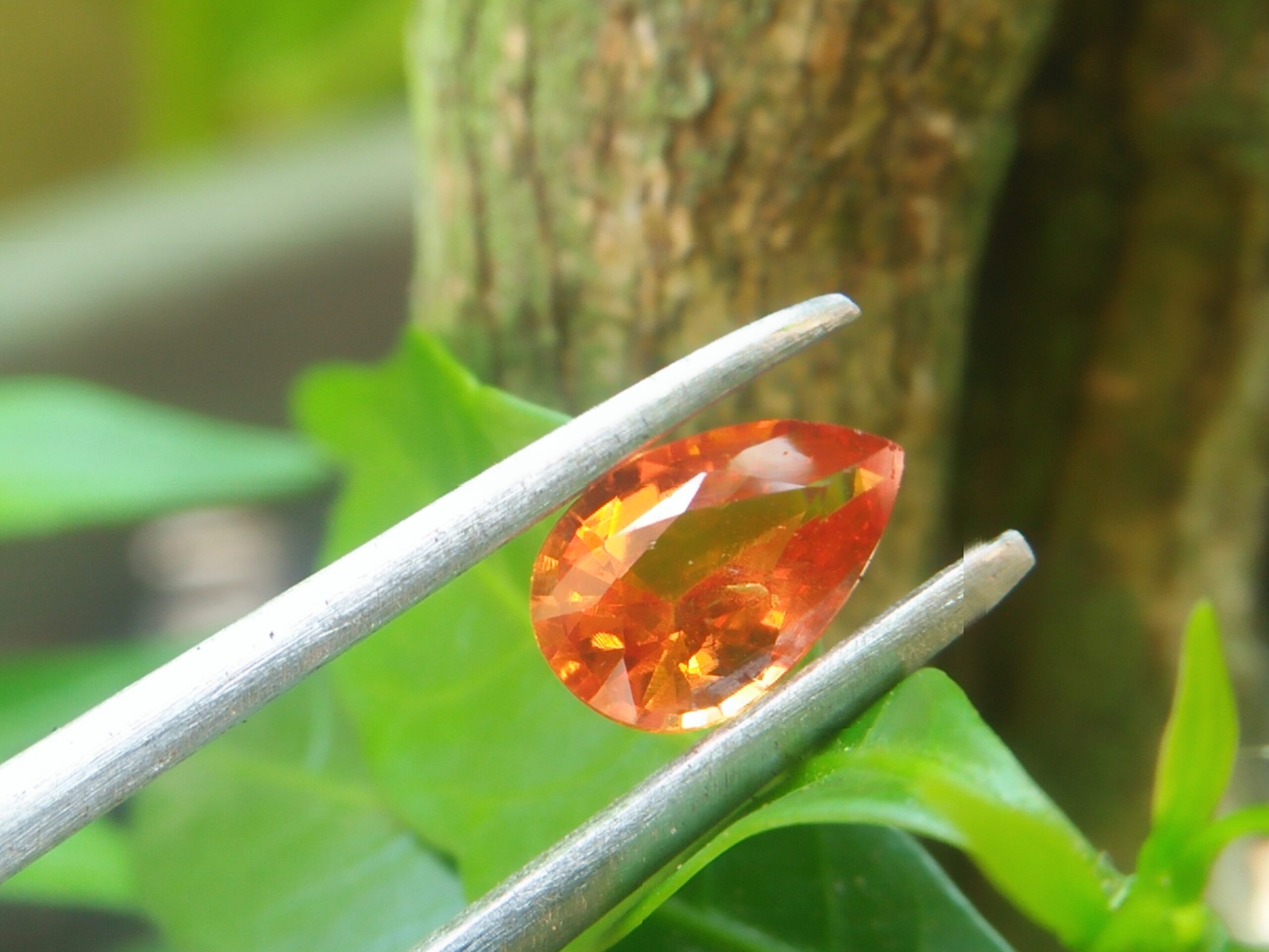 Ceylon Orange Sapphire Colour : Orange Shape : Pear Weight : 0.64 Cts Dimension : 6.8 x 4.4 x 2.8 mm Treatment : Heated Clarity : SI • CSL - Colored Stone Laboratory Certified ( GIA Alumina Association Member ) • CSL Memo No : 3B607159BF4A 橙色的藍寶石 重量 : 0.64 卡拉 尺寸 : 6.8 x 4.4 x 2.8 mm 颜色 : 橙色 透明 : 好透明 形状 : 梨形 治療 : 加熱 清晰度 : SI
