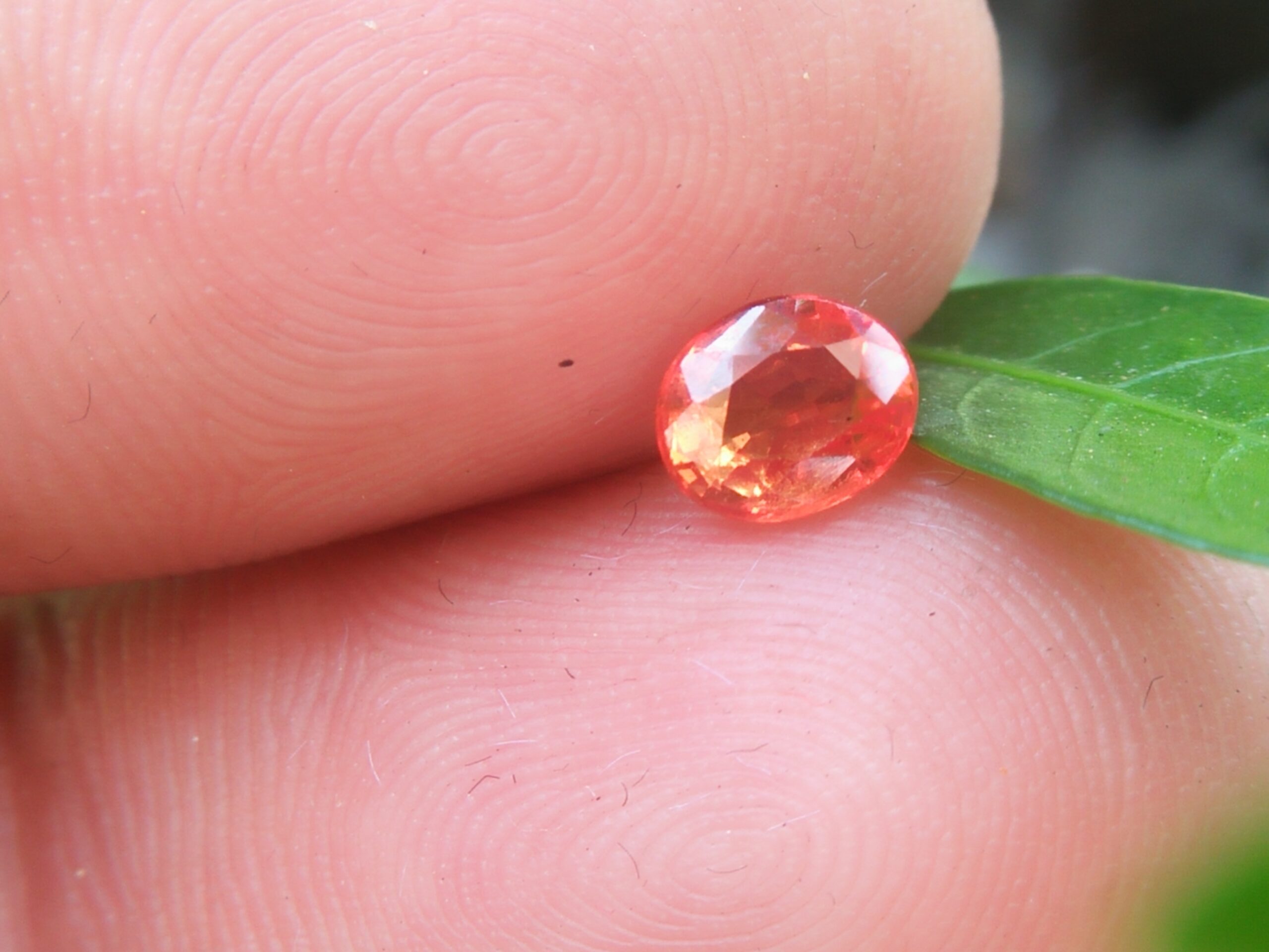 Ceylon Orange Sapphire Colour : Orange Shape : ovel Weight : 0.56 Cts Dimension : 5.1 x 4.2 x 2.8 mm Treatment : Heated Clarity : SI • CSL - Colored Stone Laboratory Certified ( GIA Alumina Association Member ) • CSL Memo No : 6F9E68BBEA22 橙色的藍寶石 重量 : 0.56 卡拉 尺寸 : 5.1 x 4.2 x 2.8 mm 颜色 : 橙色 透明 : 好透明 形状 : 椭圆形 治療 : 加熱 清晰度 : SI