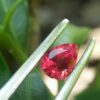 Natural Sunset Ruby/Padpardscha Sapphire Colour : Pinkish Orange Padparadscha Shape : Pear Weight : 0.54cts Dimension : 5.0 x 3.7 x 3.3 mm Treatment : Heated Clarity : SI 黃色的藍寶石 重量 : 0.54 卡拉 尺寸 : 5.0 x 3.7 x 3.3 mm 颜色 : 粉色橙色 透明 : 好透明 形状 : 梨形 清晰度 : SI 治疗： 加热 • CSL - Colored Stone Laboratory Certified ( GIA Alumina Association Member ) • CSL Memo No : 81F7CD06EE49