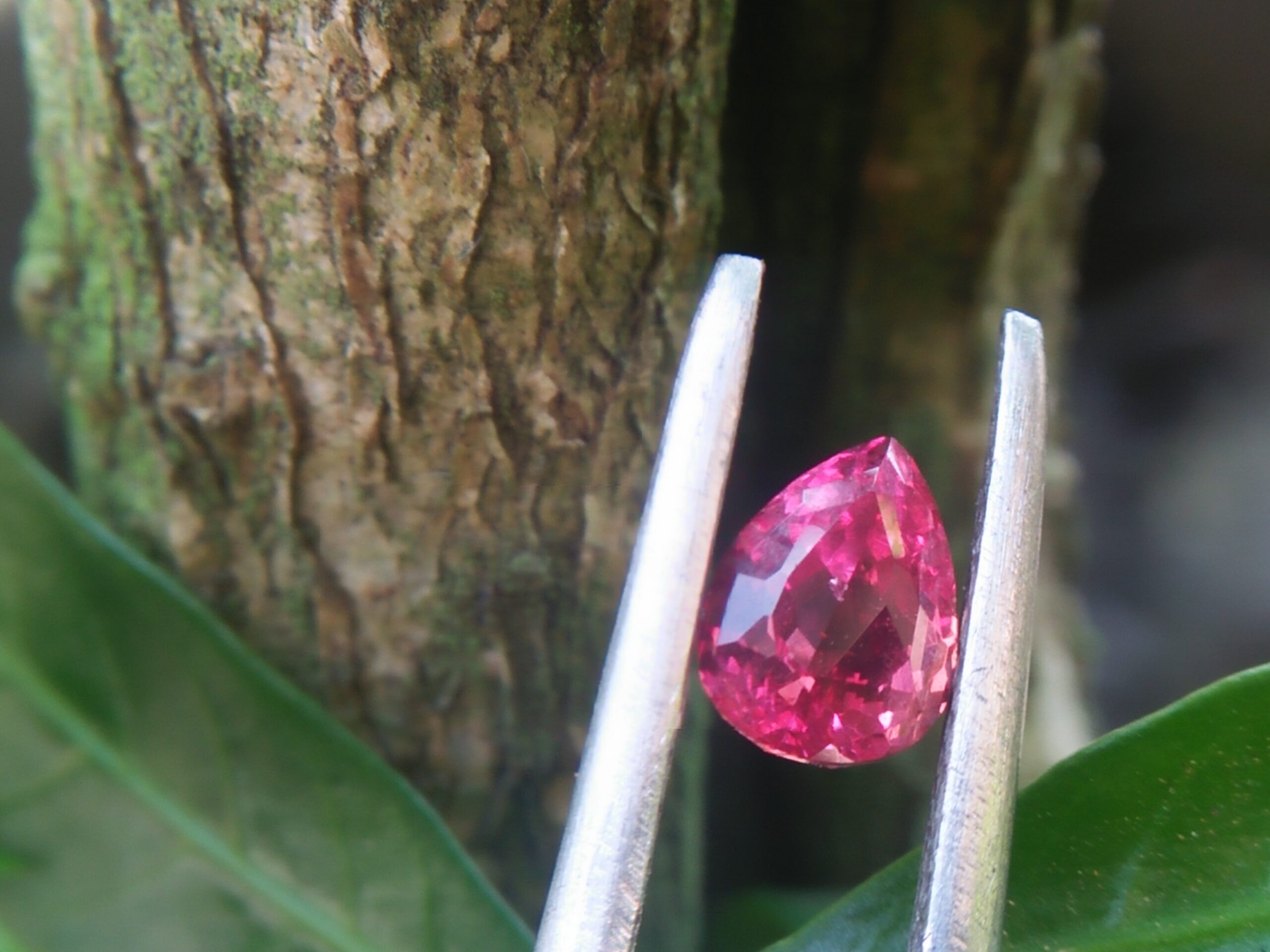 Natural Sunset Ruby/Padpardscha Sapphire Colour : Pinkish Orange Padparadscha Shape : Pear Weight : 0.54cts Dimension : 5.0 x 3.7 x 3.3 mm Treatment : Heated Clarity : SI 黃色的藍寶石 重量 : 0.54 卡拉 尺寸 : 5.0 x 3.7 x 3.3 mm 颜色 : 粉色橙色 透明 : 好透明 形状 : 梨形 清晰度 : SI 治疗： 加热 • CSL - Colored Stone Laboratory Certified ( GIA Alumina Association Member ) • CSL Memo No : 81F7CD06EE49