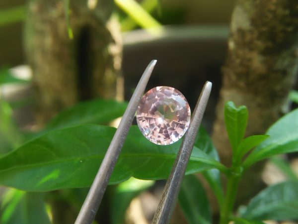 Ceylon Light Pink Sapphire Colour : Light Pink Shape : oval Weight : 1.17 Cts Dimension : 6.7 x 6.1 x 3.5 mm Treatment : Heated Clarity : VS • CSL - Colored Stone Laboratory Certified ( GIA Alumina Association Member ) • CSL Memo No : E723FE70DEBE 粉紅的藍寶石 重量 : 1.17 卡拉 尺寸 : 6.7 x 6.1 x 3.5 mm 颜色 : 淡粉色 透明 : 好透明 形状 : 椭圆形 治療 : 加熱 清晰度 : VS