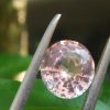 Ceylon Light Pink Sapphire  Colour : Light Pink Shape : oval Weight : 1.17 Cts Dimension : 6.7 x 6.1 x 3.5 mm Treatment : Heated Clarity : VS • CSL - Colored Stone Laboratory Certified ( GIA Alumina Association Member ) • CSL Memo No : E723FE70DEBE 粉紅的藍寶石 重量 : 1.17 卡拉 尺寸 : 6.7 x 6.1 x 3.5 mm 颜色 : 淡粉色 透明 : 好透明 形状 : 椭圆形 治療 : 加熱 清晰度 : VS