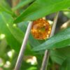 Ceylon Yellow Sapphire Colour : Vivid Yellow Shape : Oval Weight : 1.86Cts Dimension : 7.2 x 6.7 x 4.5 mm Treatment : Heated Clarity : SI 黃色的藍寶石 重量 : 1.86 卡拉 尺寸 : 7.2 x 6.7 x 4.5 mm 颜色 : 黄色 透明 : 好透明 形状 : 椭圆形 清晰度 : SI 治疗 : 加热 • CSL - Colored Stone Laboratory Certified ( GIA Alumina Association Member ) • CSL Memo No : 3D163BFAB78E